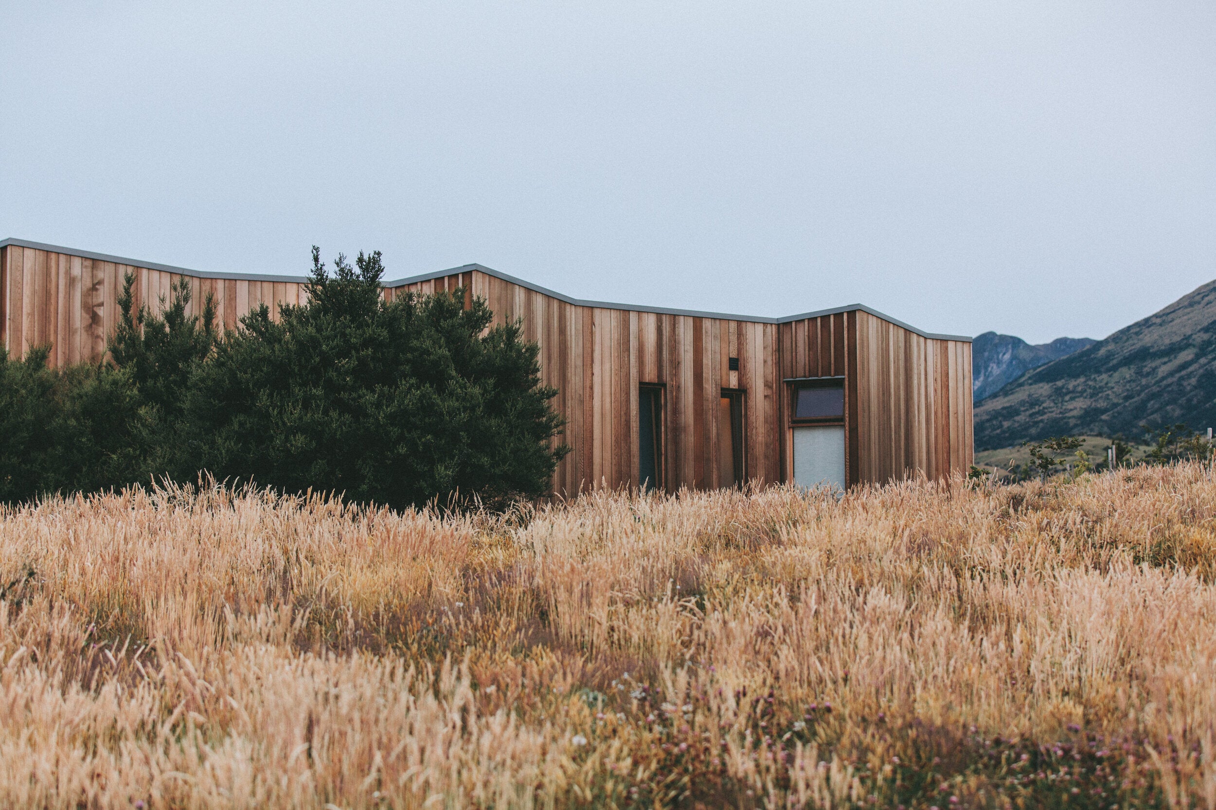 generic shop background